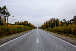 道路