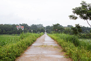 公路