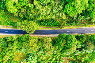 公路景观