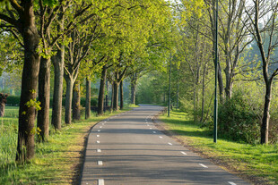 林间公路