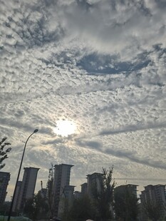 城市上空鱼鳞云景观