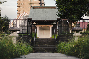 日式庭院入口景观