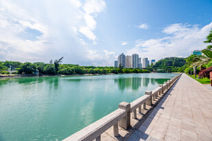 城市湖畔晴日风光