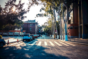 夕照城市林荫街道