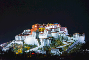 布达拉宫夜景