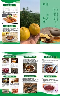 茶叶三折页