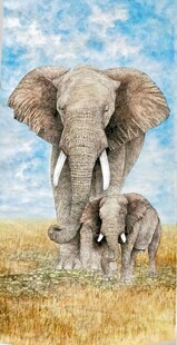 大象插画