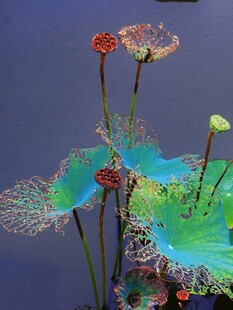 荷叶莲蓬油画