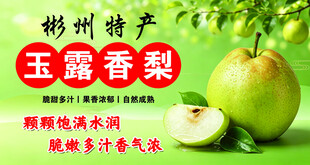 玉露香梨