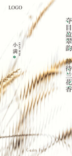小满节气海报