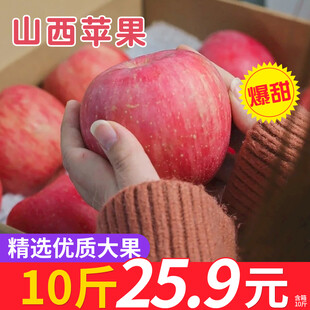 水果主图