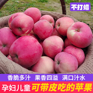水果主图