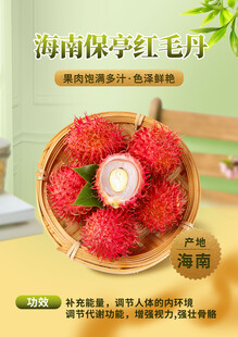 海南保亭红毛丹