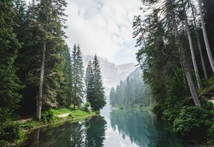 林间湖泊山水美景