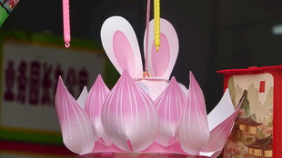 莲花灯笼