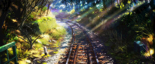 林间阳光步道