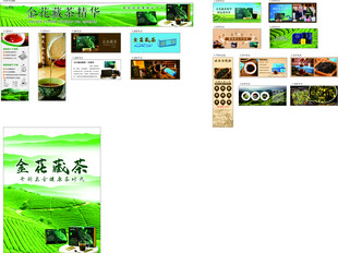 茶叶海报