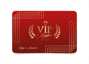VIP 会员卡片