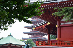 日式古寺五重塔风光