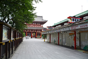 古寺入口步道景观