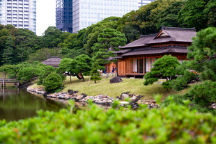 城市中的日式庭院