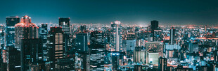 都市傍晚天际线全景