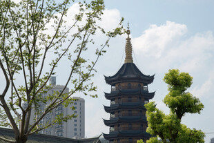 春日古塔风光