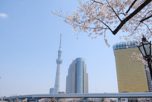 东京晴空塔春日远景