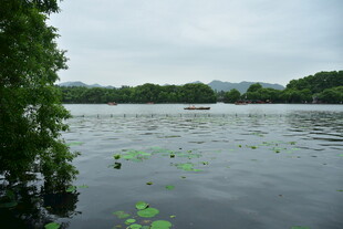 郊野湖泊静谧风光