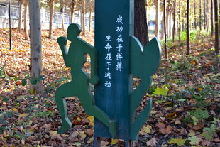 林间健身宣传立牌