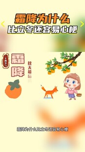 霜降节气趣味科普插画