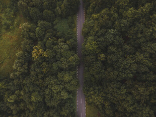 道路