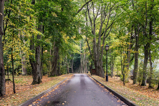 公路