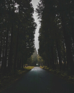 公路
