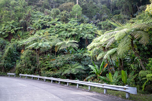公路