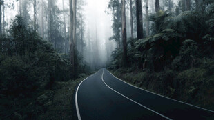 公路景观