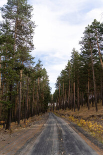 公路景观