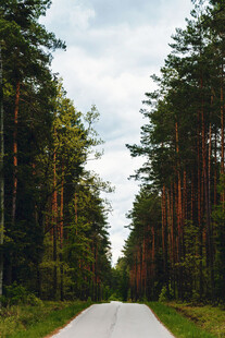 公路景观