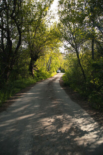 公路景观