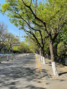 公路景观