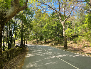 公路景观
