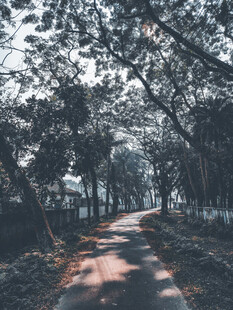 公路景观