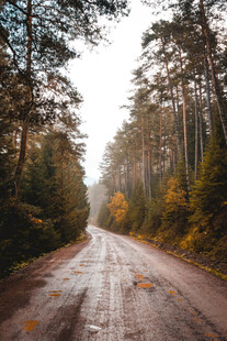 公路景观