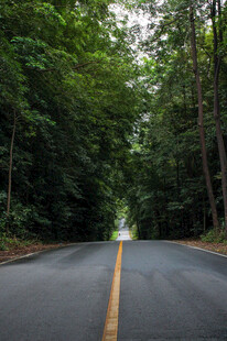 公路景观