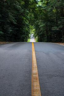 道路