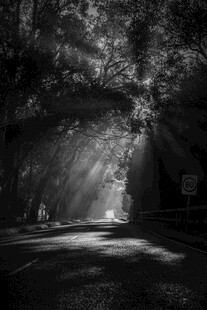 公路