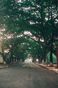 公路