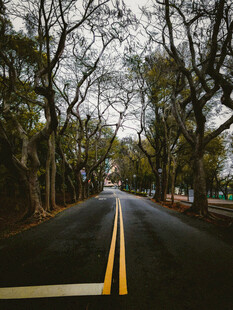 公路景观