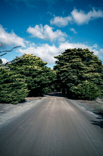公路景观
