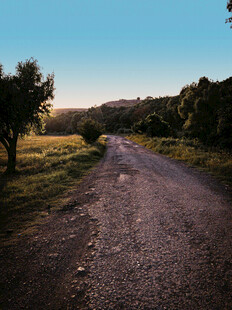 公路景观